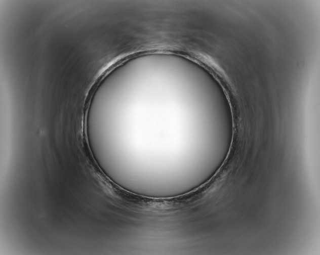 X0000086791220200704271824