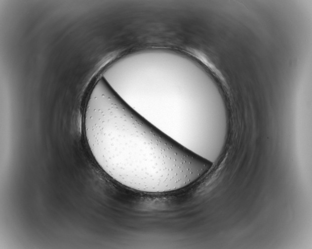X0000086791221200704271824