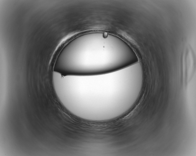 X0000086791222200704271824