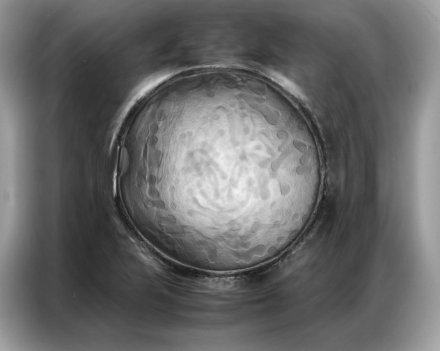 X0000086791223200704271824