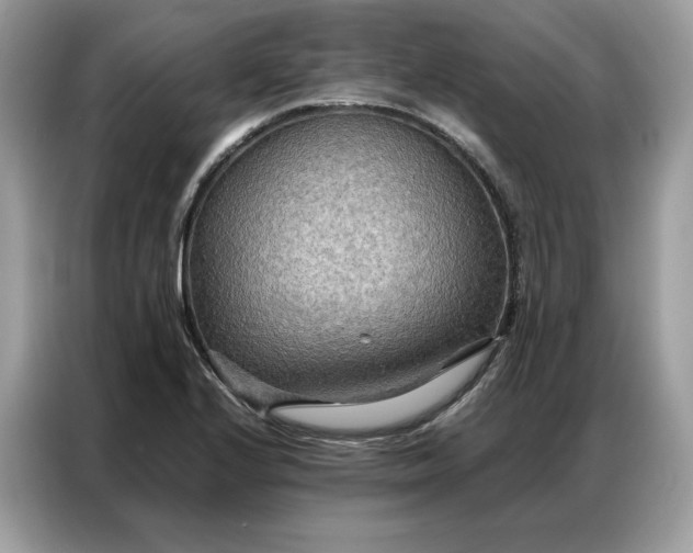 X0000086791224200704271824