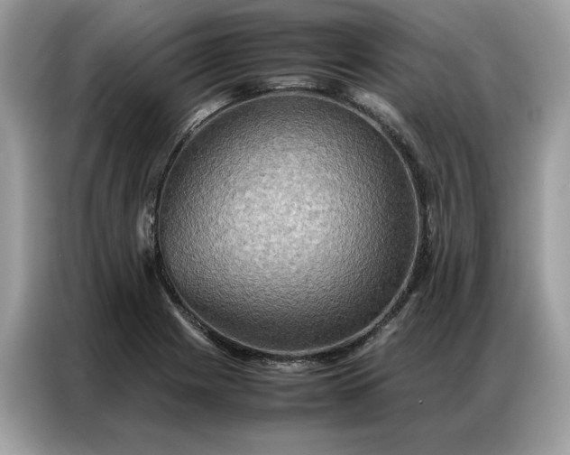 X0000086791225200704271824