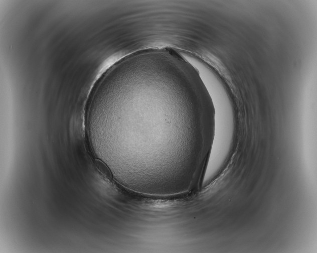 X0000086791226200704271824