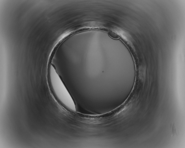 X0000086791229200704271824