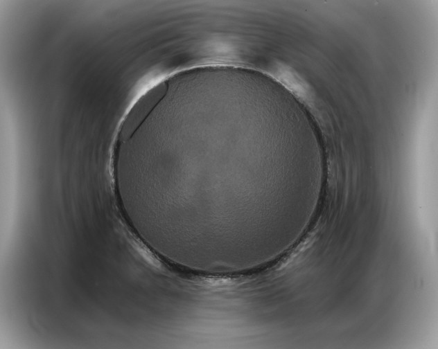 X0000086791230200704271824