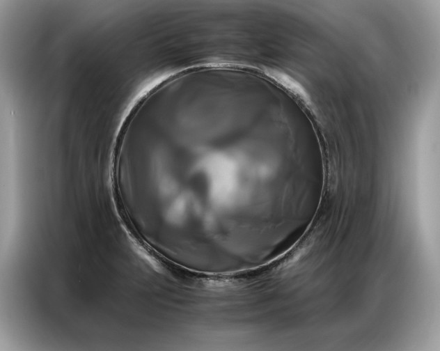 X0000086791231200704271824