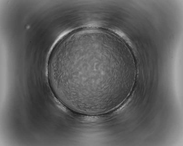 X0000086791232200704271824