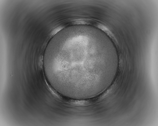X0000086791233200704271824