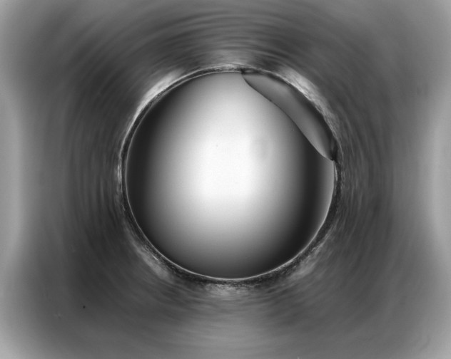 X0000086791234200704271824