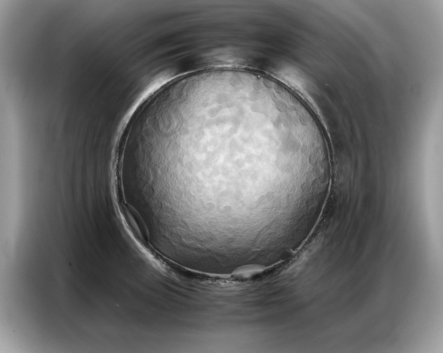 X0000086791235200704271824