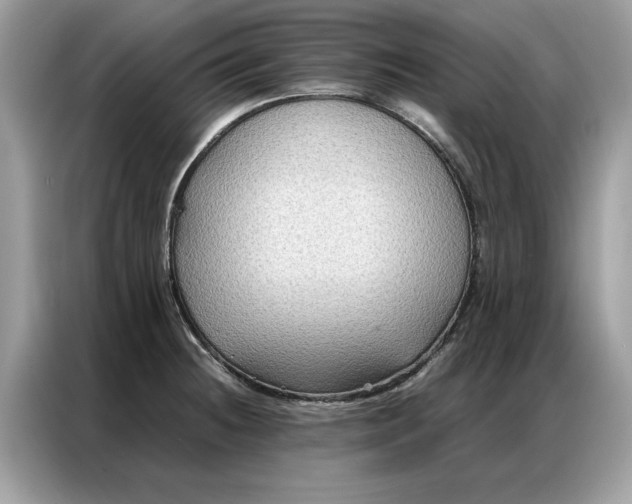 X0000086791236200704271824