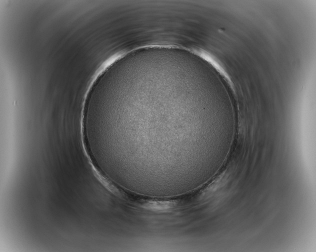 X0000086791237200704271824