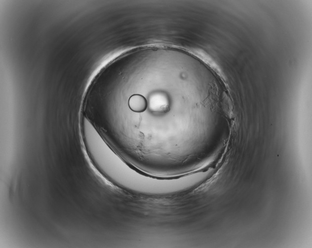 X0000086791239200704271824