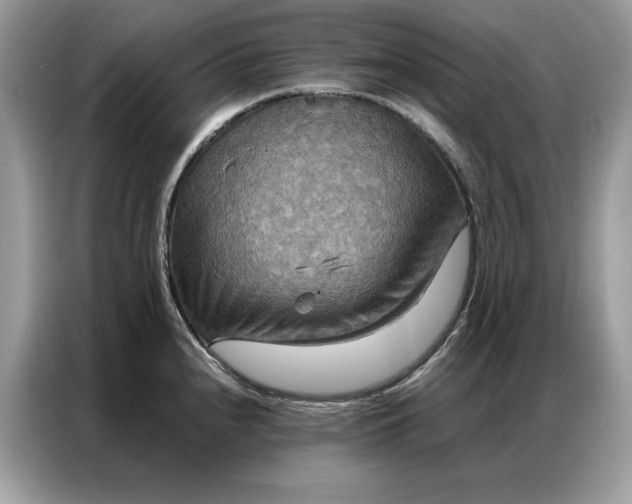 X0000086791240200704271824