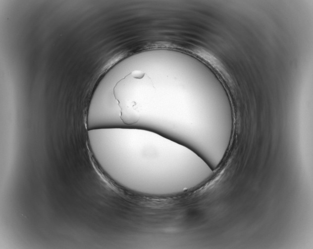 X0000086791241200704271824
