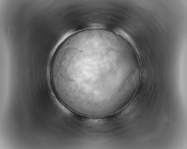 X0000086791243200704271824