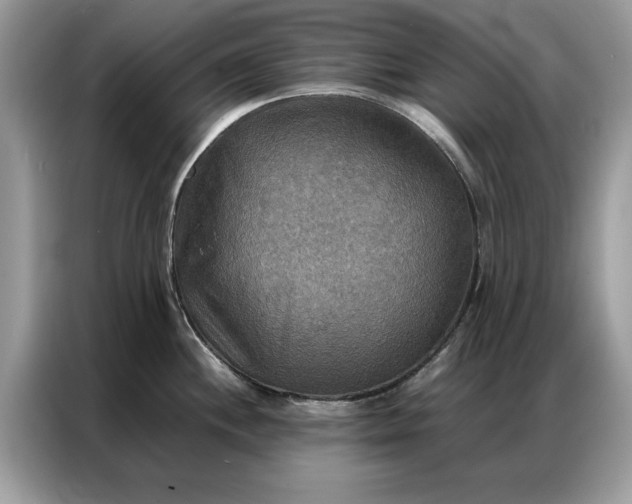 X0000086791244200704271824