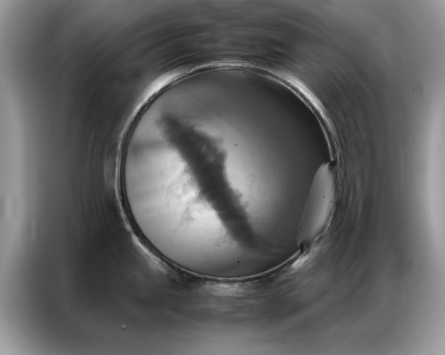 X0000086791245200704271824