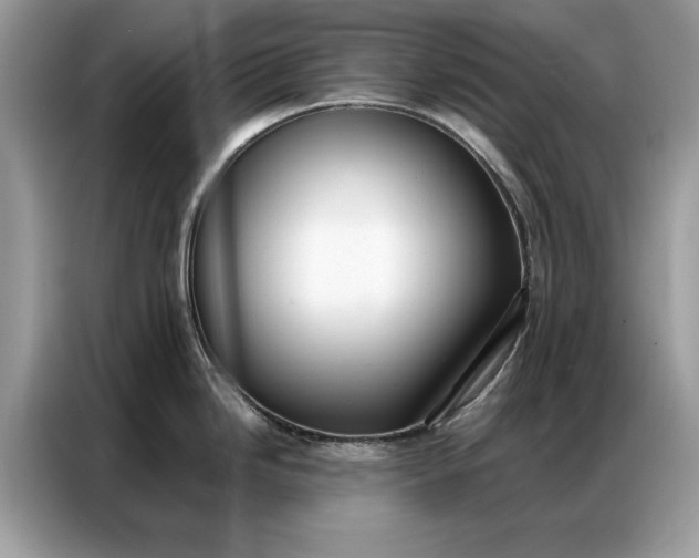 X0000086791246200704271824