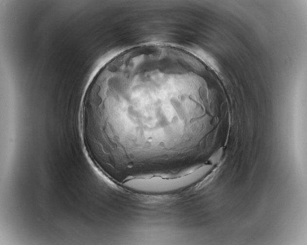 X0000086791247200704271824