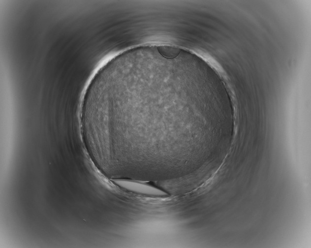 X0000086791248200704271824