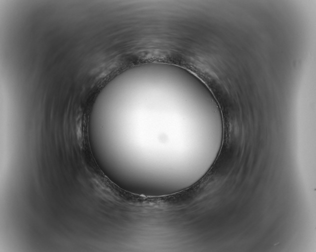 X0000086791250200704271823