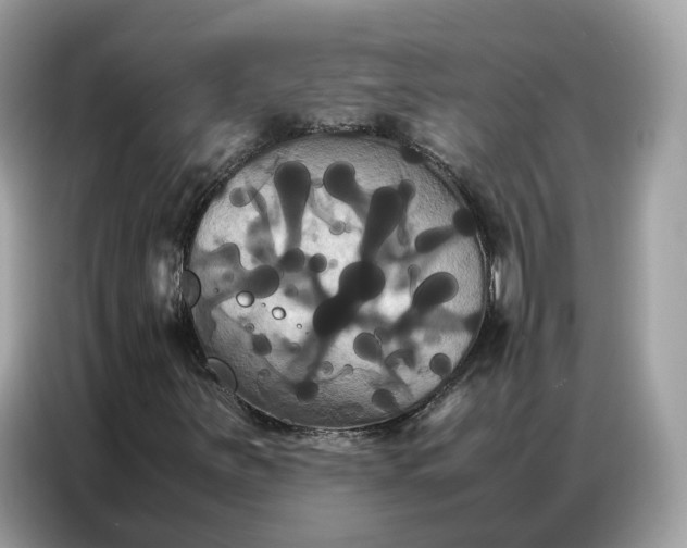 X0000086791251200704271823
