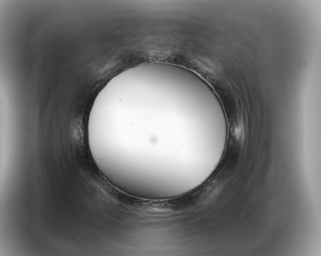 X0000086791252200704271823