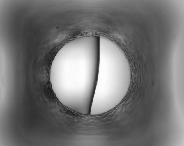 X0000086791253200704271823