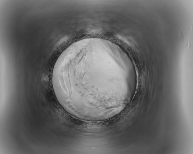 X0000086791254200704271823