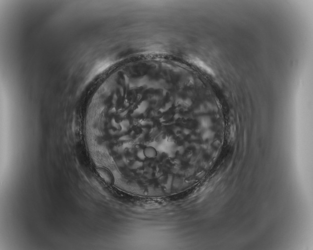 X0000086791255200704271823