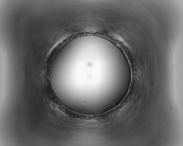 X0000086791256200704271823