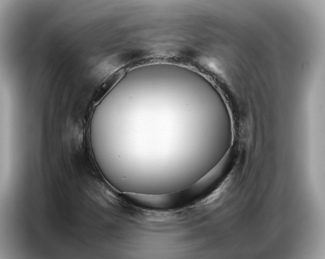 X0000086791257200704271823