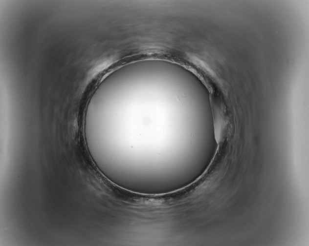 X0000086791261200704271823