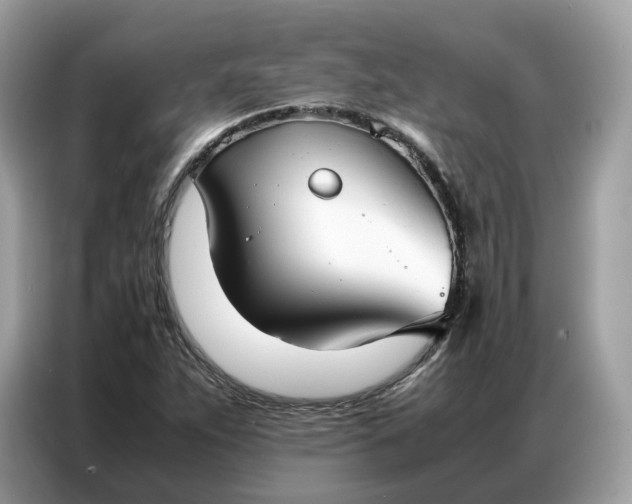 X0000086791263200704271823