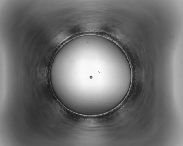 X0000086791265200704271823