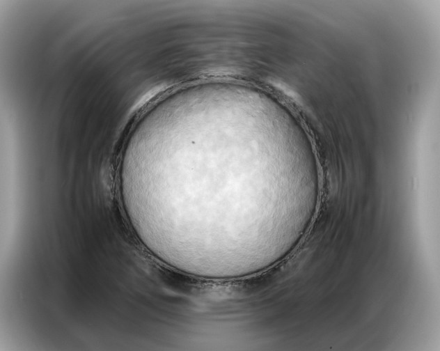 X0000086791266200704271823