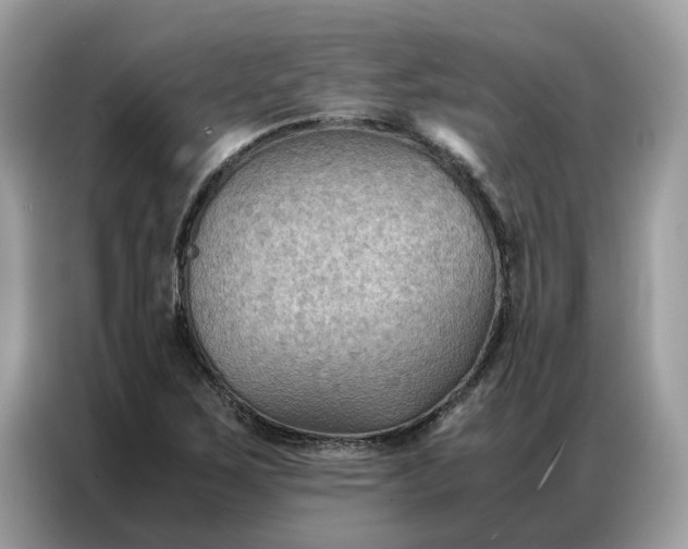 X0000086791267200704271823
