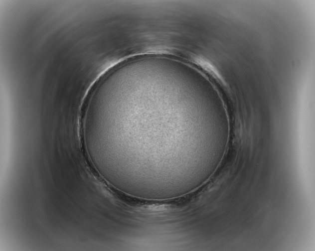 X0000086791268200704271823