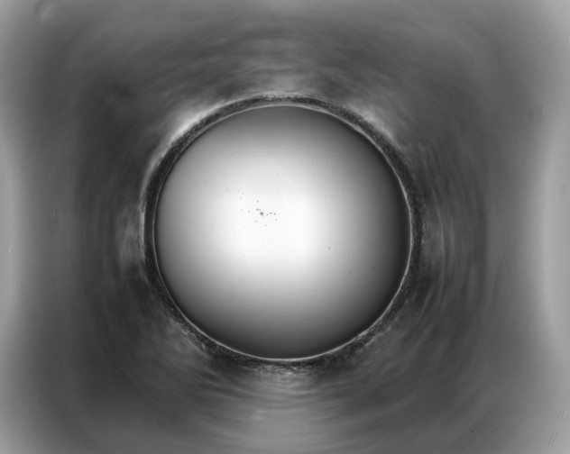 X0000086791270200704271823