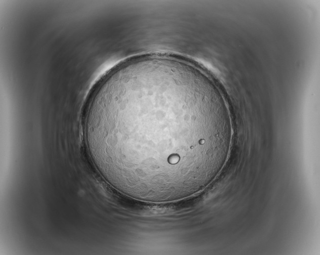 X0000086791271200704271823
