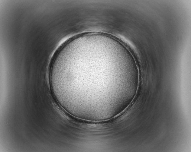 X0000086791272200704271823