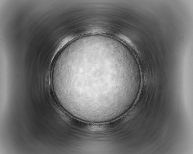 X0000086791274200704271823