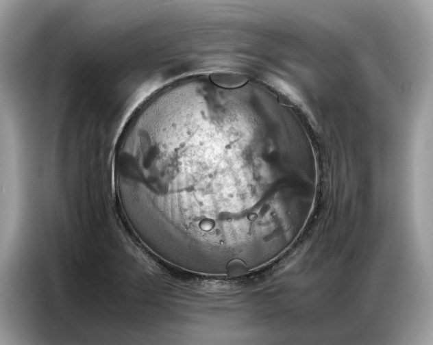 X0000086791275200704271823
