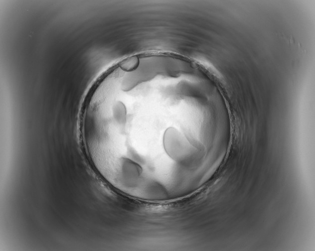 X0000086791278200704271823