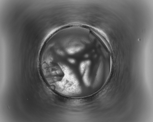 X0000086791279200704271823