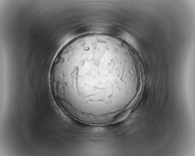 X0000086791283200704271823