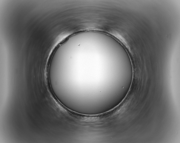 X0000086791285200704271823