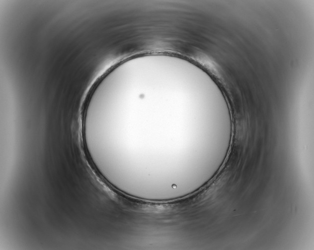 X0000086791286200704271823