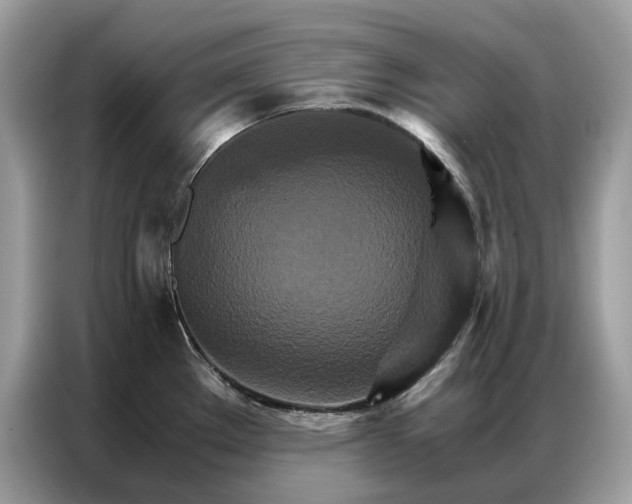 X0000086791289200704271823
